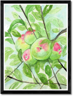 Apples