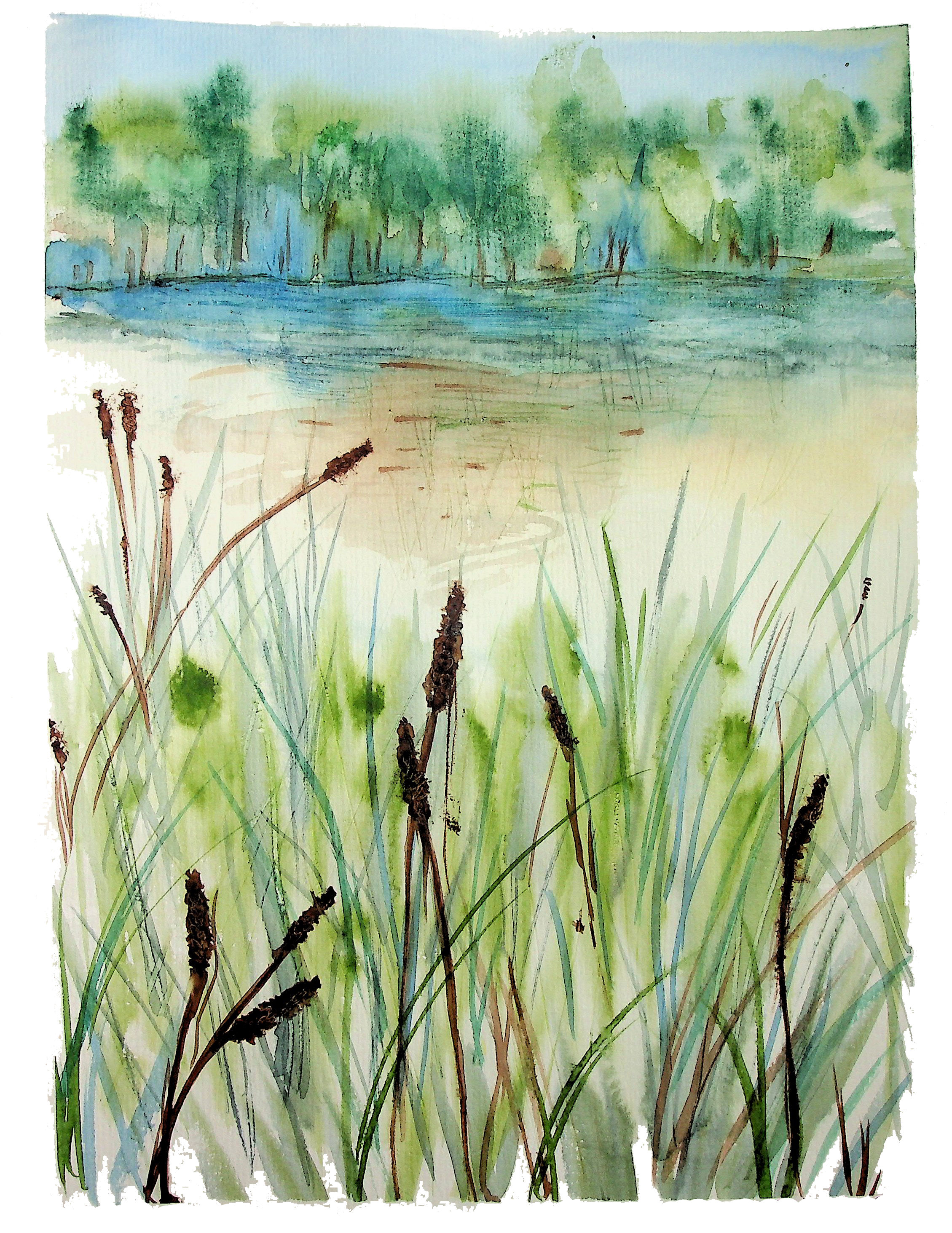 Cat Tail Marsh Watercolor - Image 2