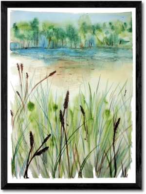 Cat Tail Marsh Watercolor