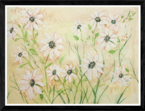 Daisies