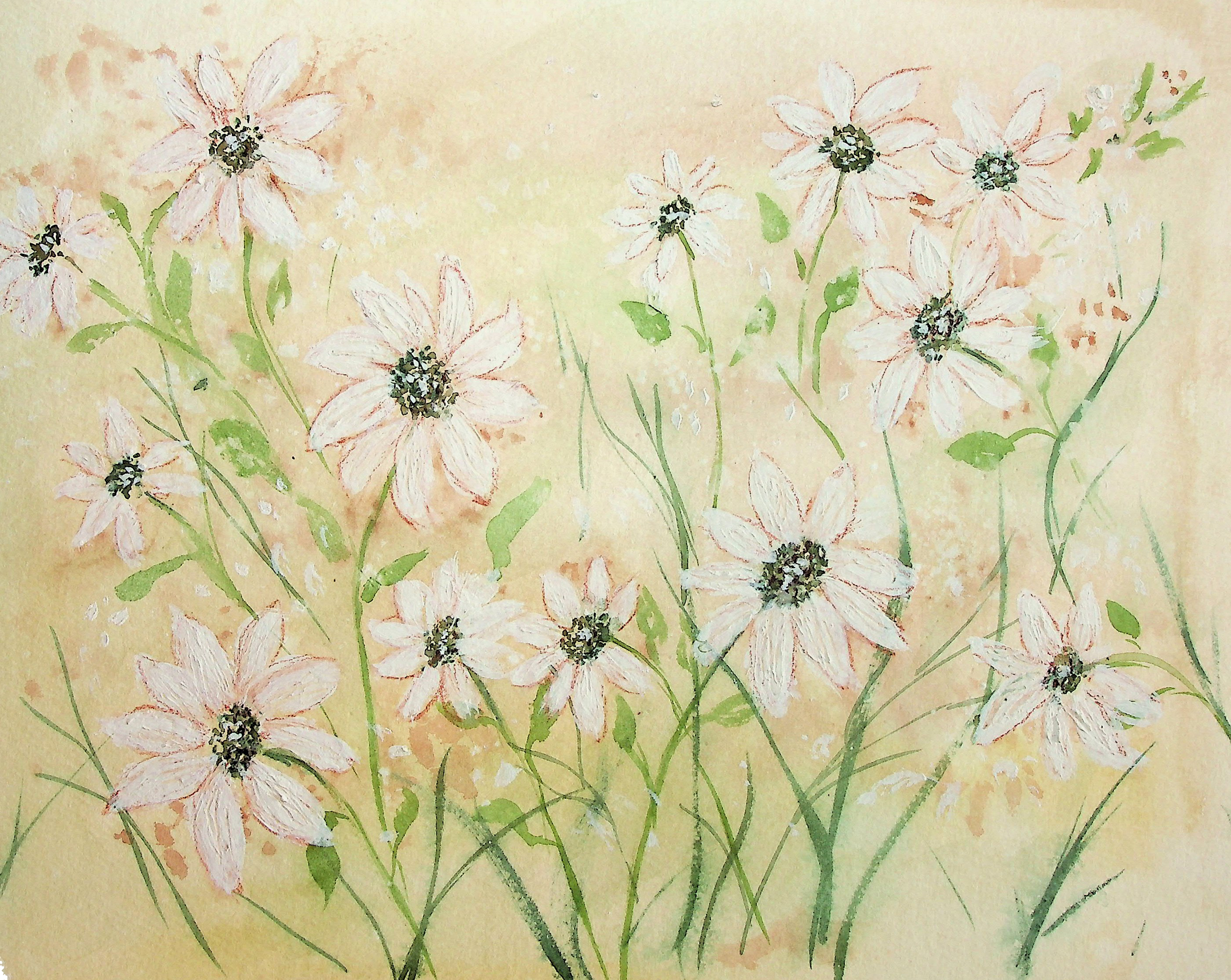 Daisies - Image 2