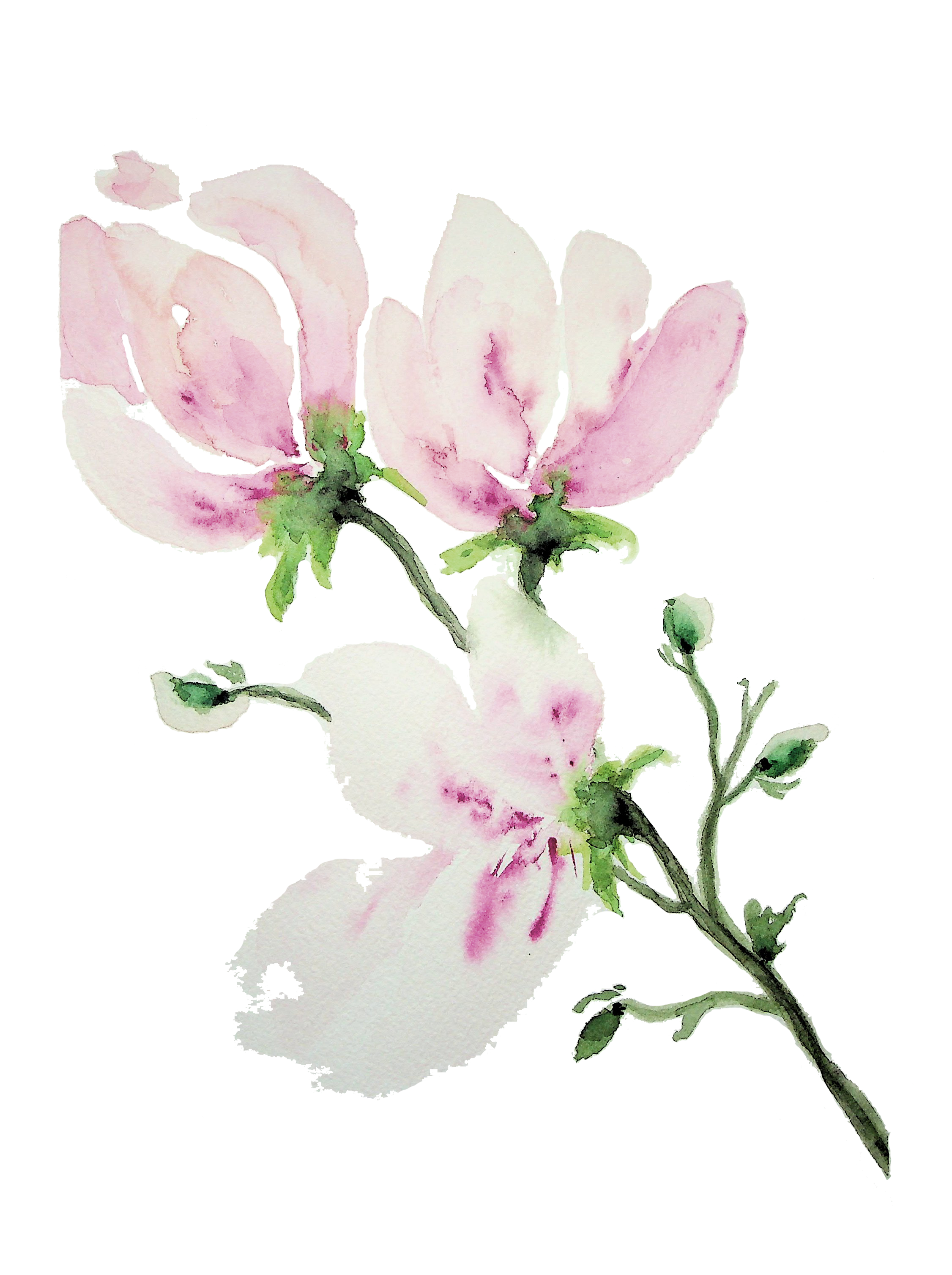 Floral Stem - Image 2
