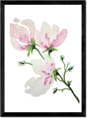 Floral Stem