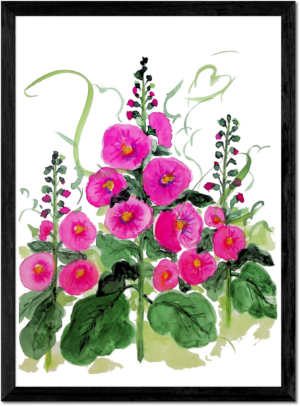 Hollyhocks