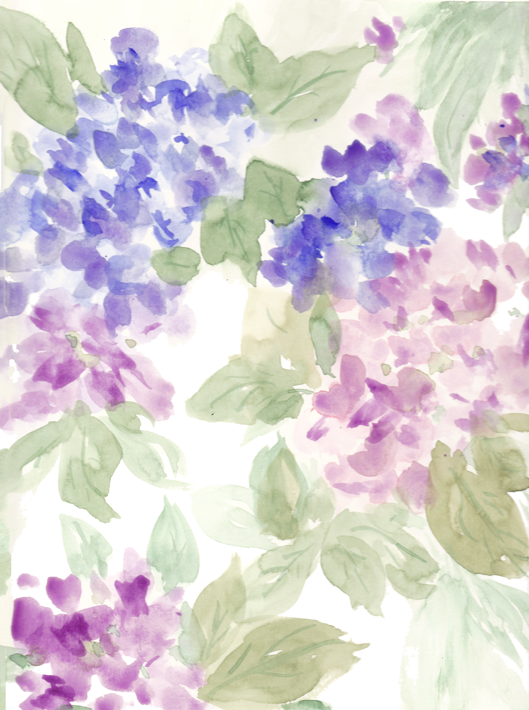 Hydrangea - Image 2