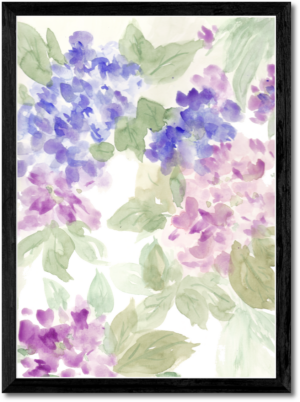 Hydrangea