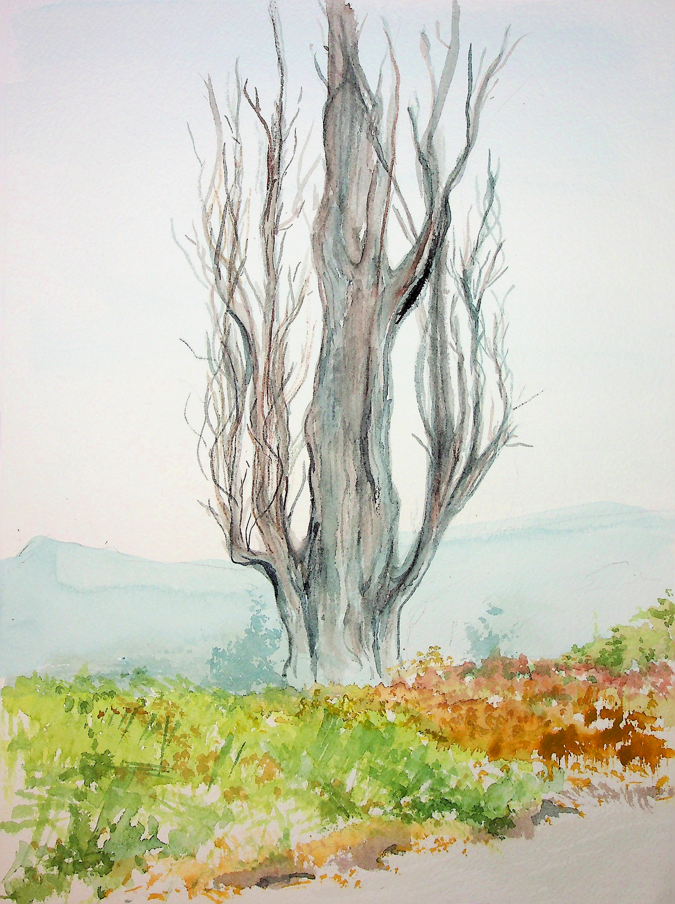 Warm Springs Park - Image 2