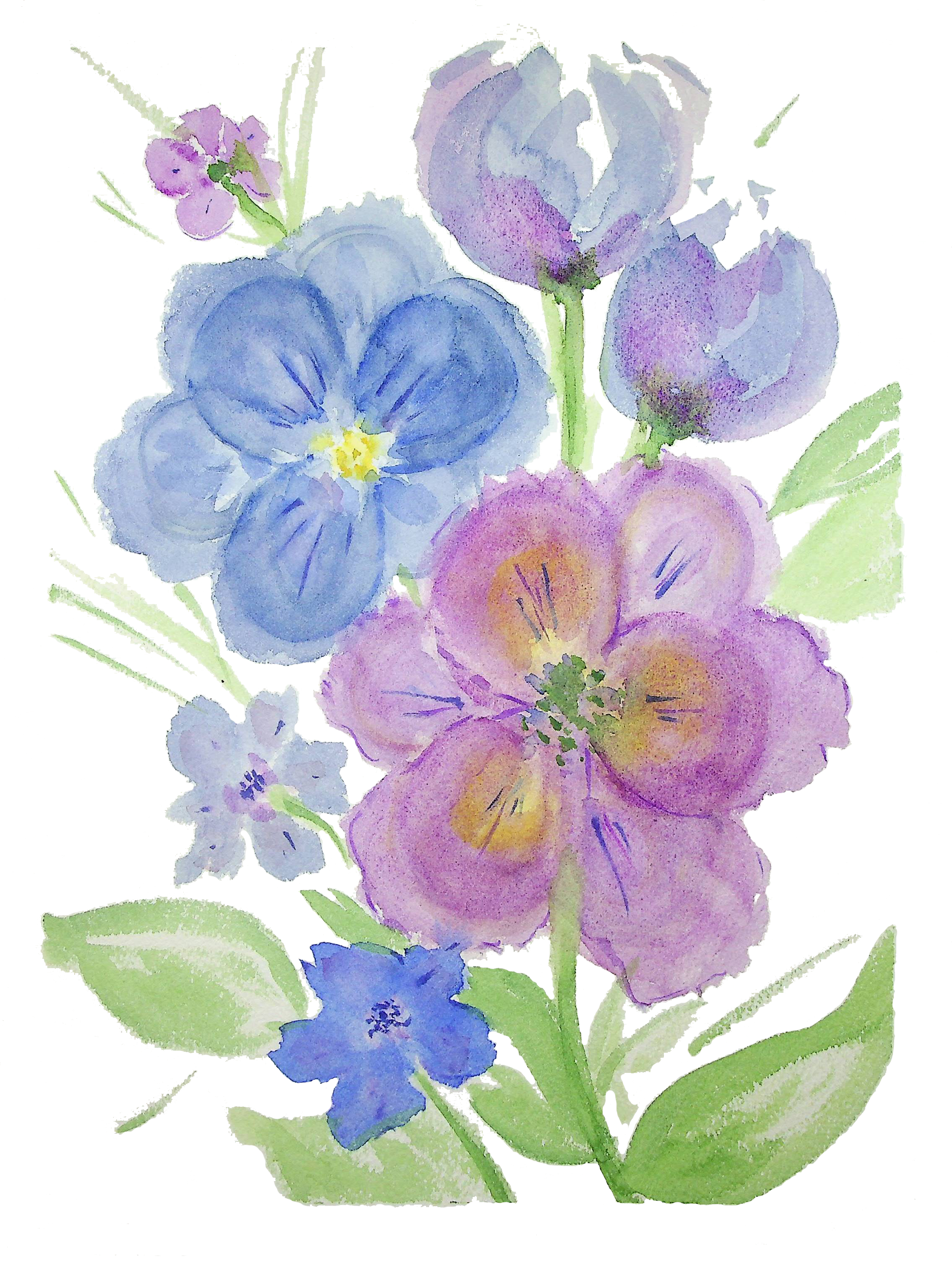 Pansies - Image 2