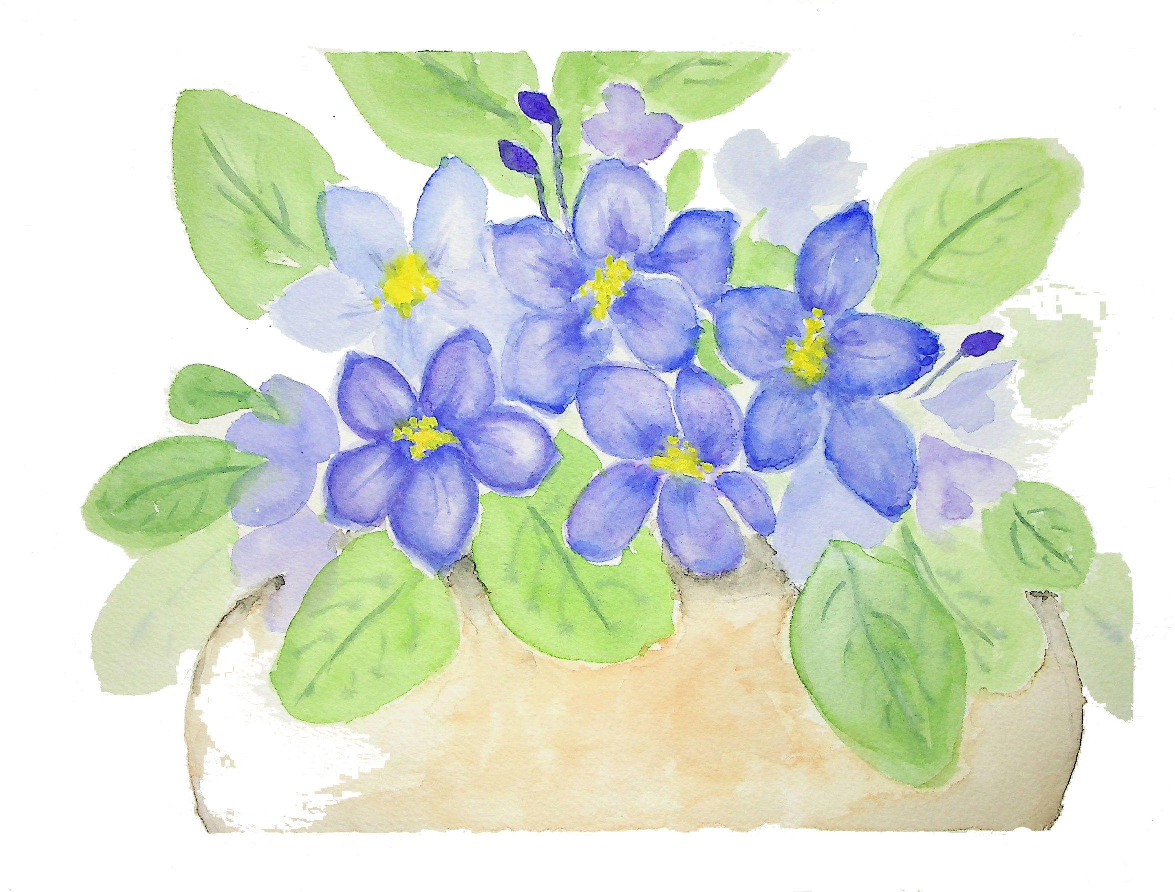 Violet - Image 2