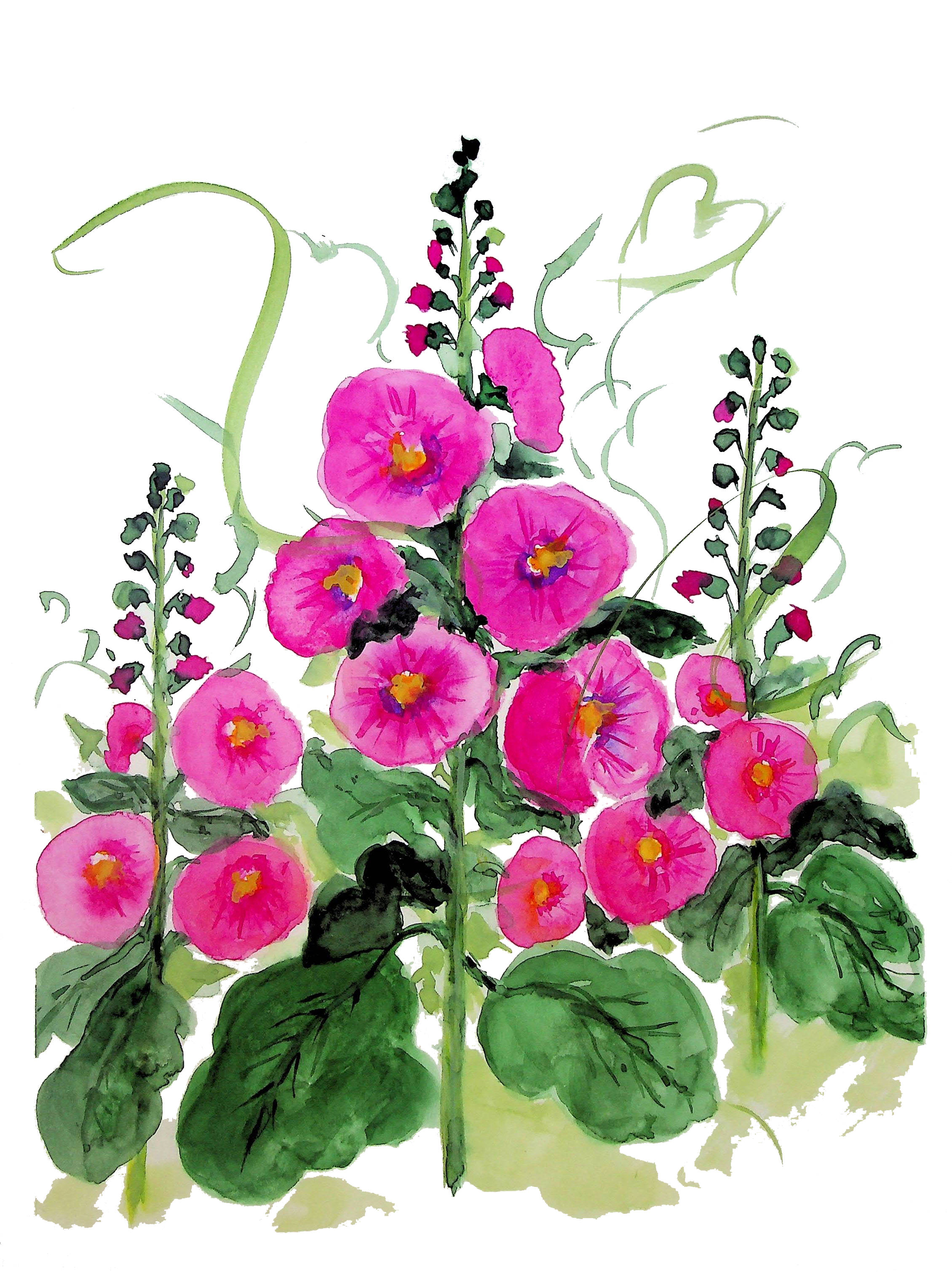 Hollyhocks - Image 2
