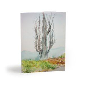 Warm Springs OR Park Greeting Cards