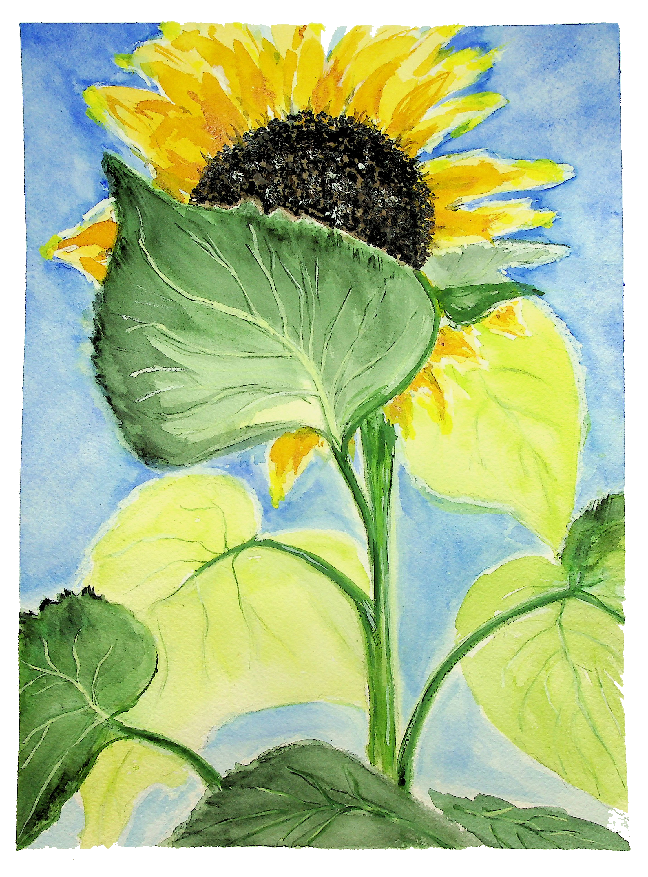 Keep Your Face to the Sun (Hope) - Image 2