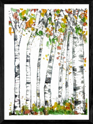 Birch Trees in Autumn