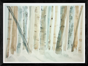 Birch Forest