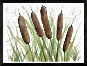 Cat Tails