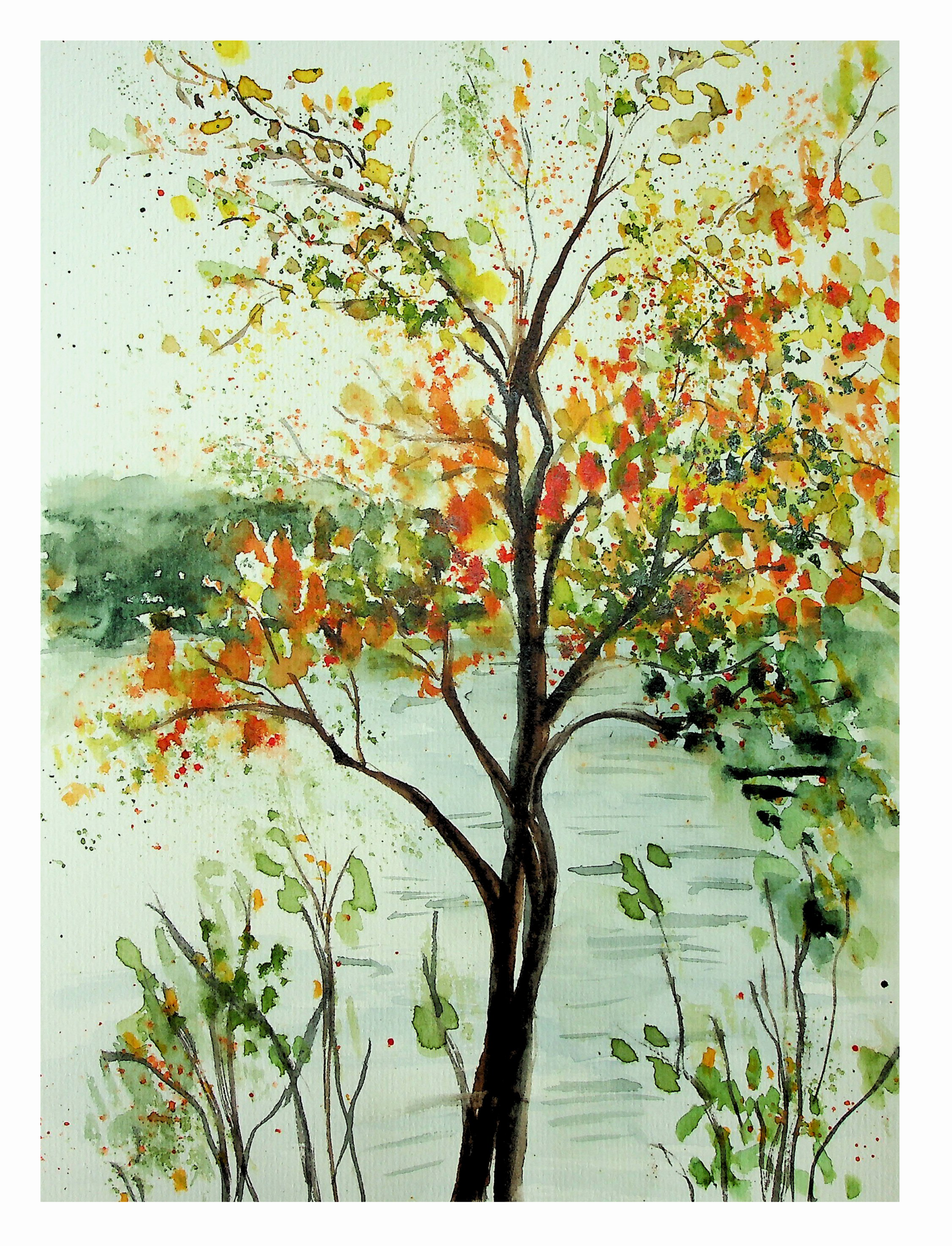 Tree on the Water - Image 2