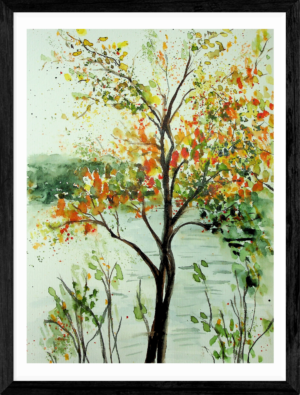 Tree on the Water