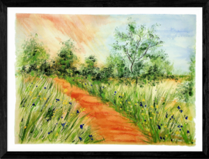 A Walk in the Field