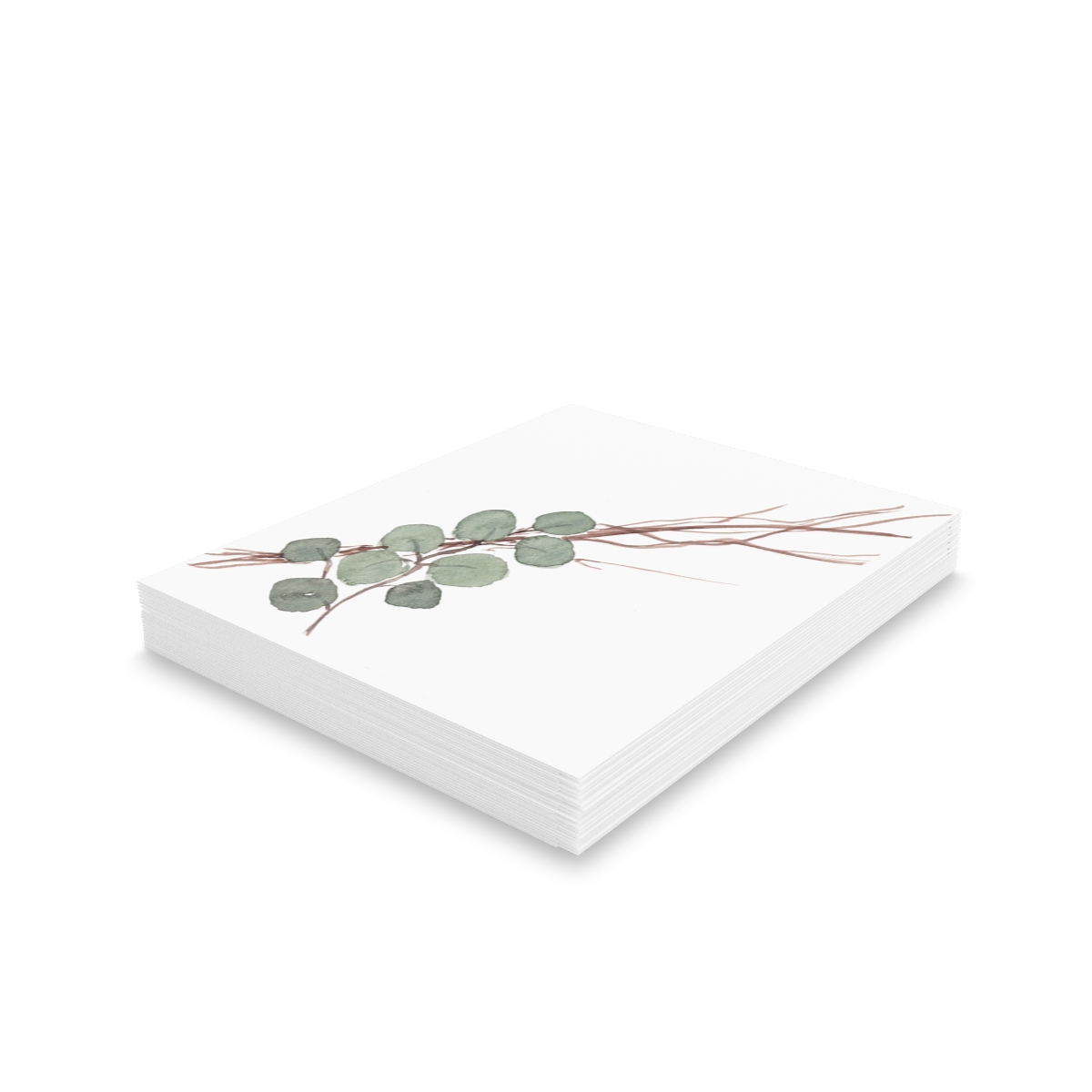 Bundled Eucalyptus and Twigs - Image 4